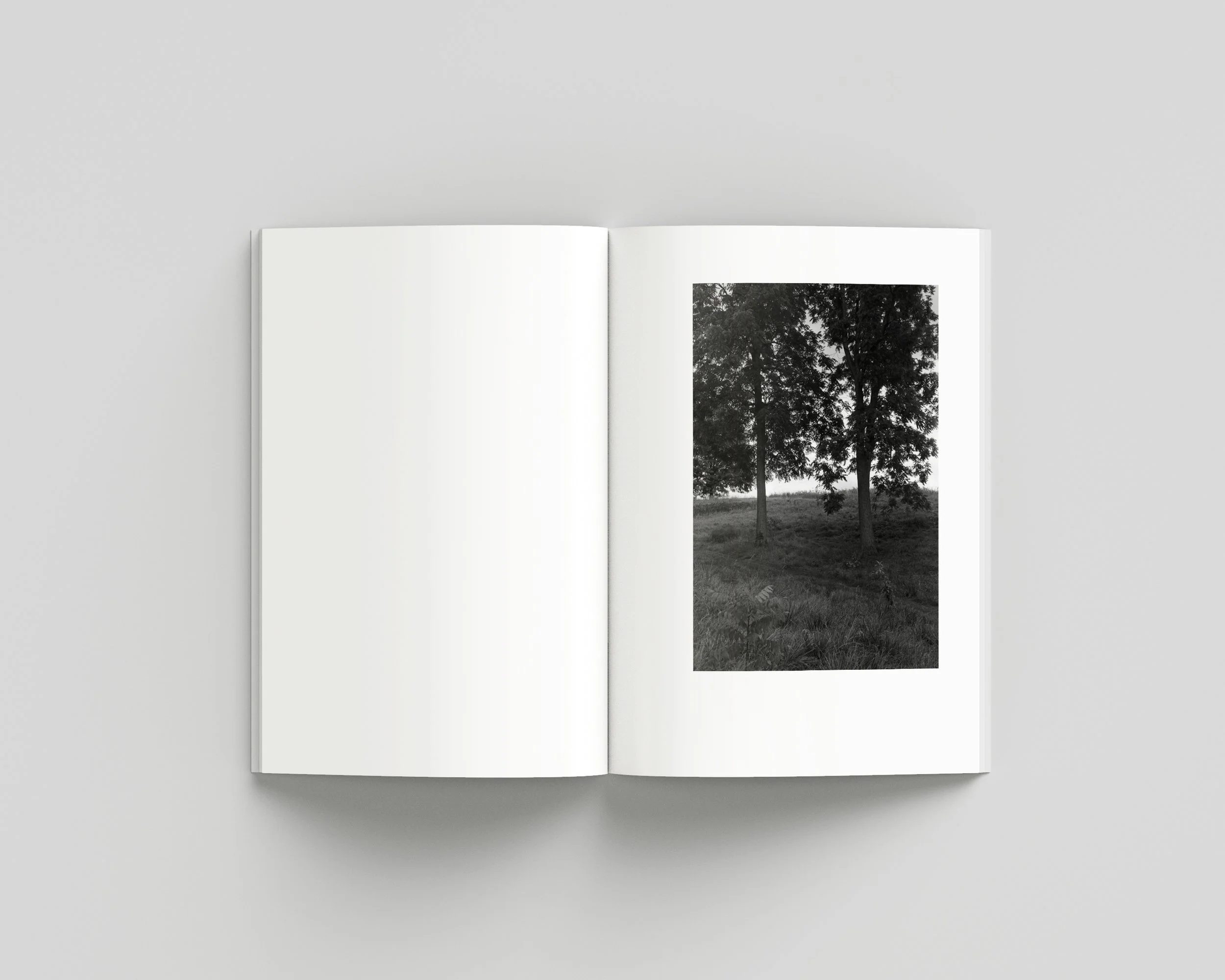 SUMMER_08_INNER copy.jpg