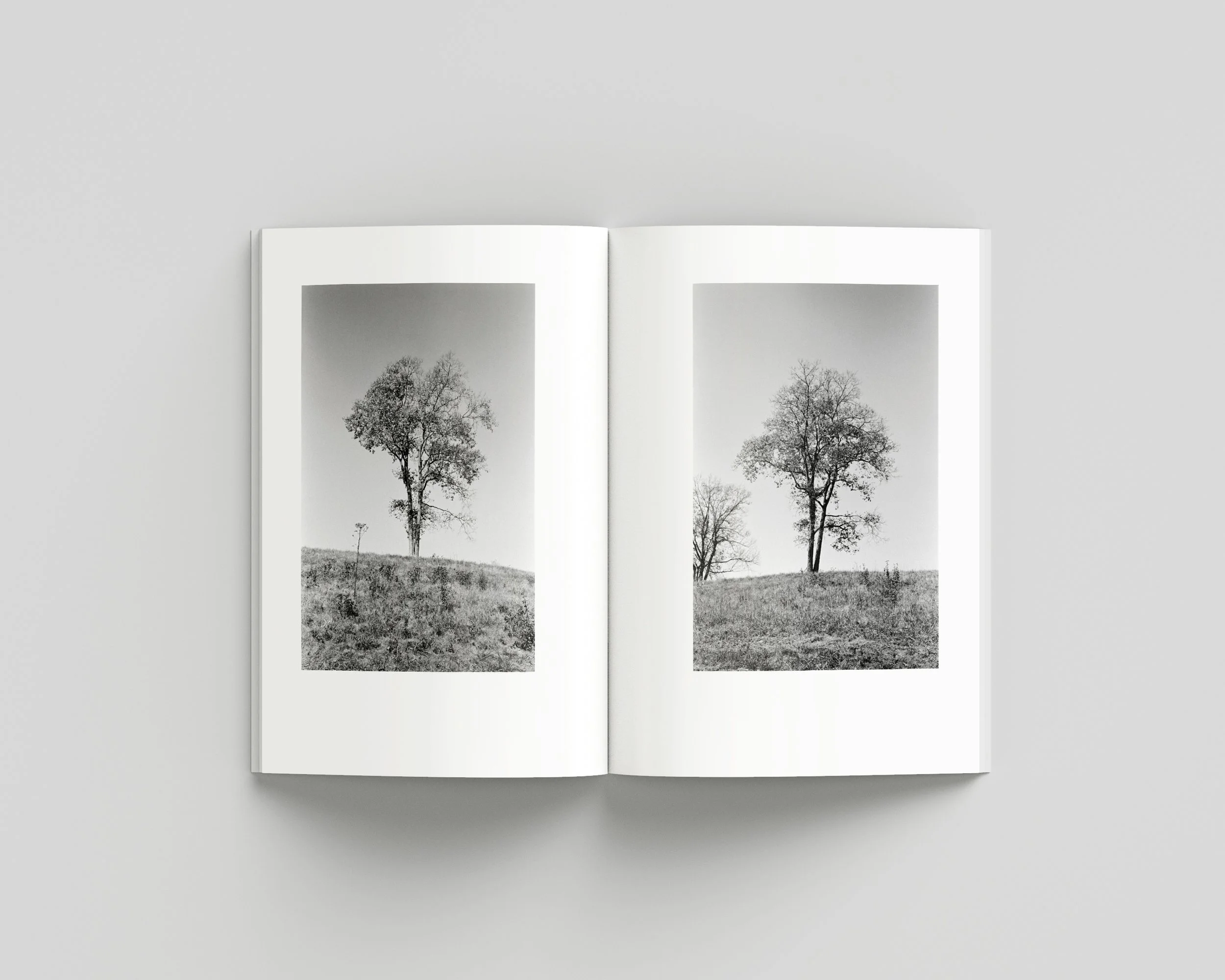 SUMMER_06_INNER copy.jpg