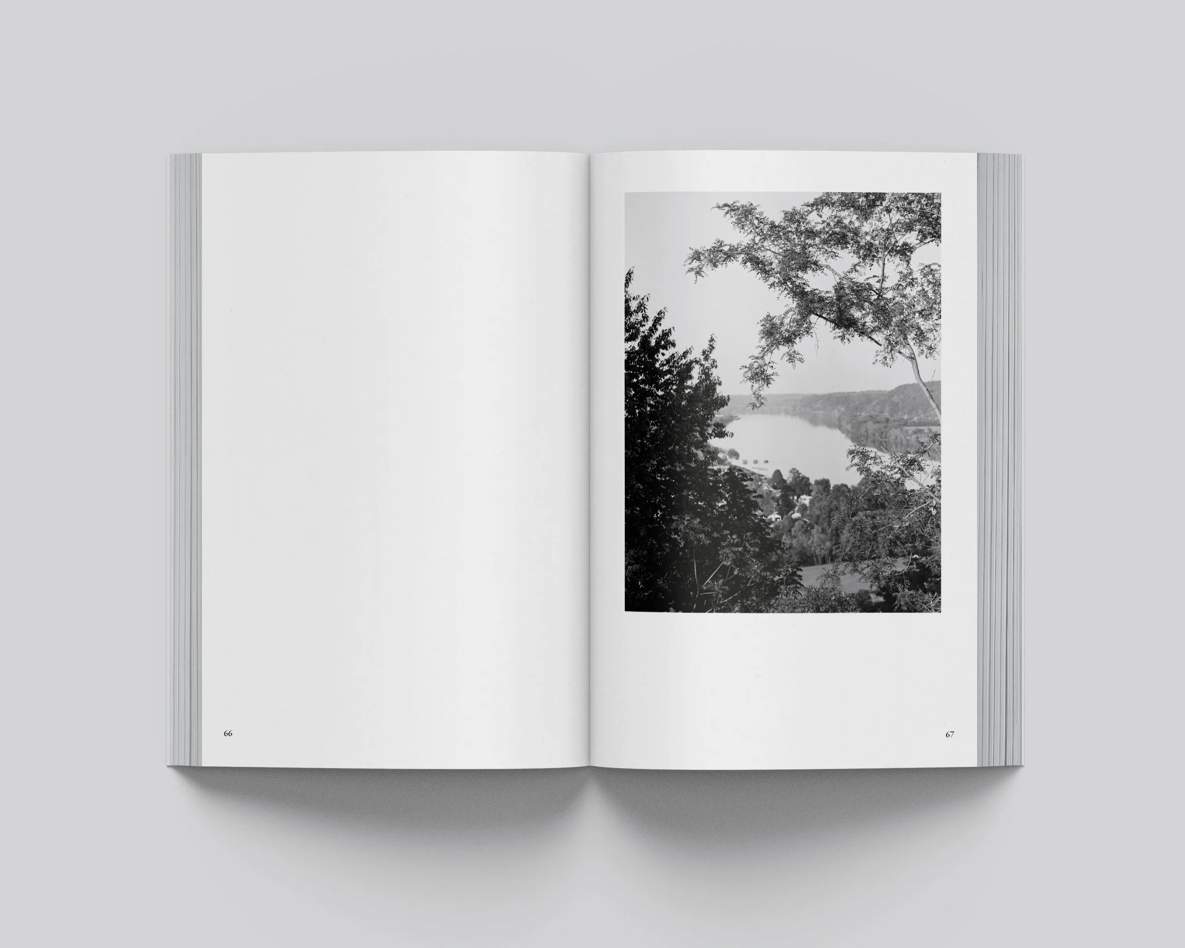 Digressions_Spread_66.67 copy.jpg