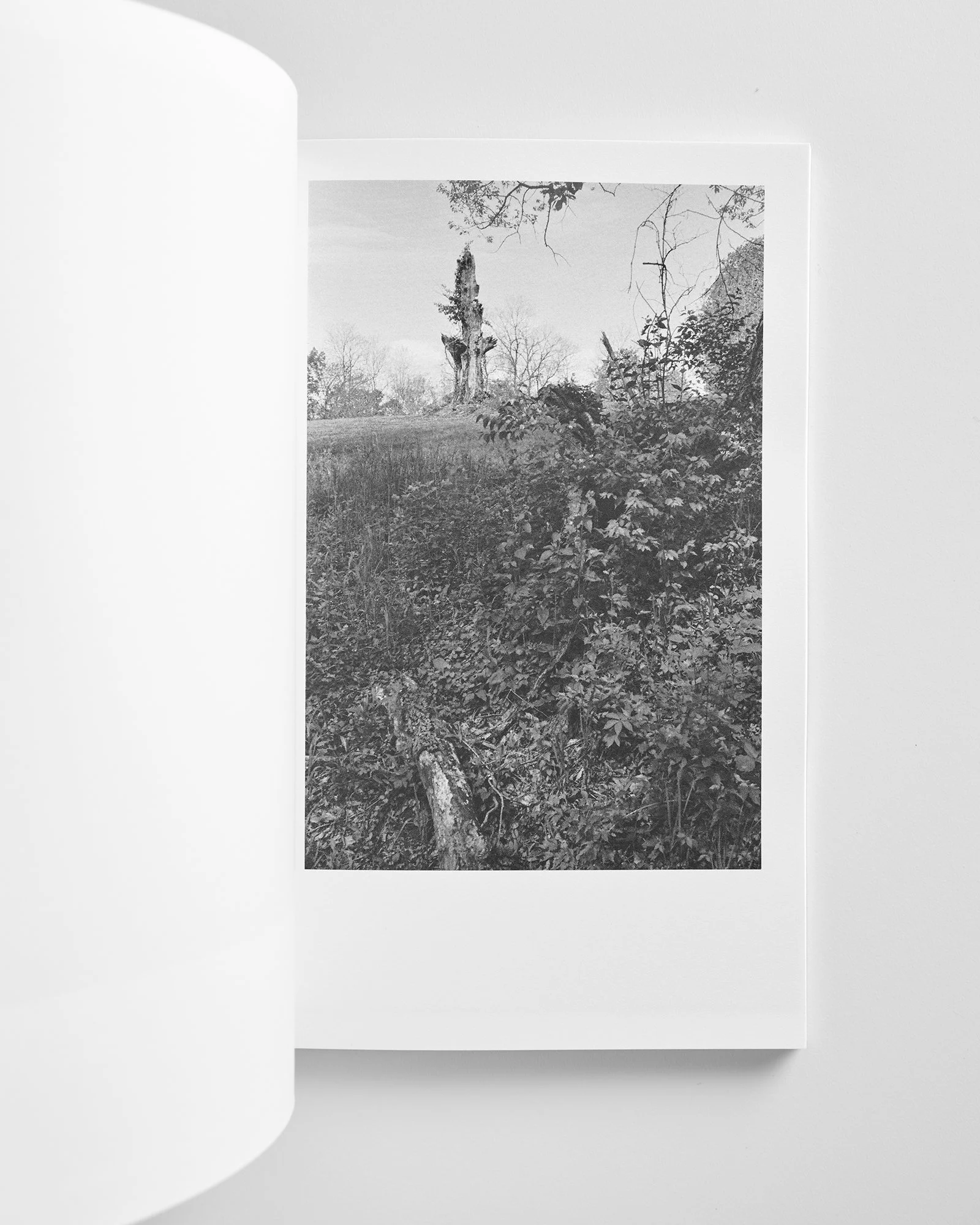 Berg_Spring_Book_04 copy.jpg