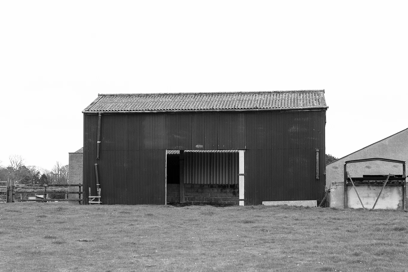 wyke.jpg