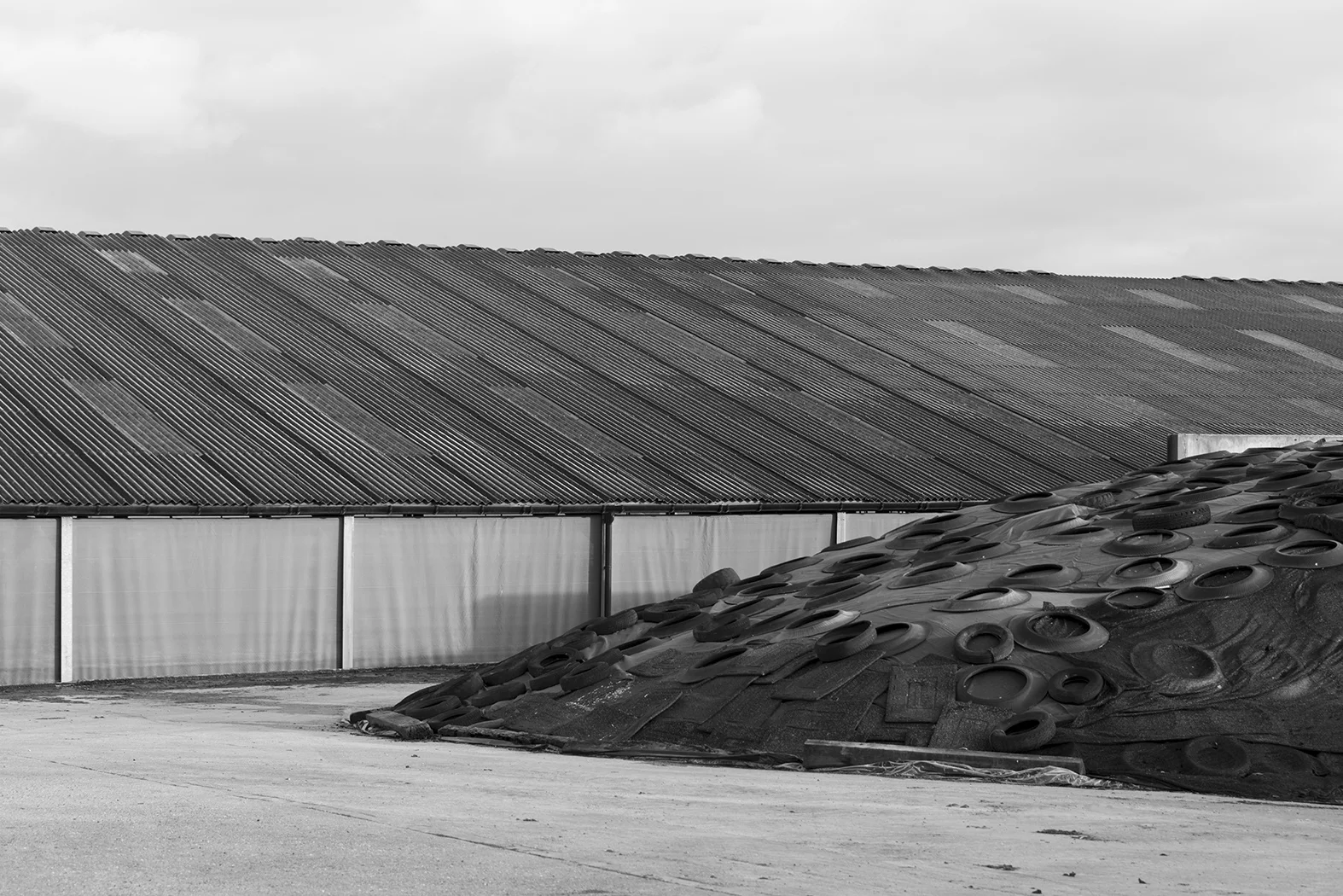 DSC_4387.jpg