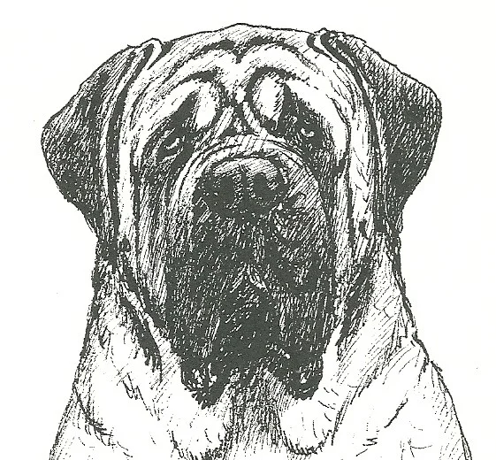 Over wrinkled.jpg
