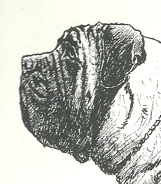 too deep in jowl.jpg
