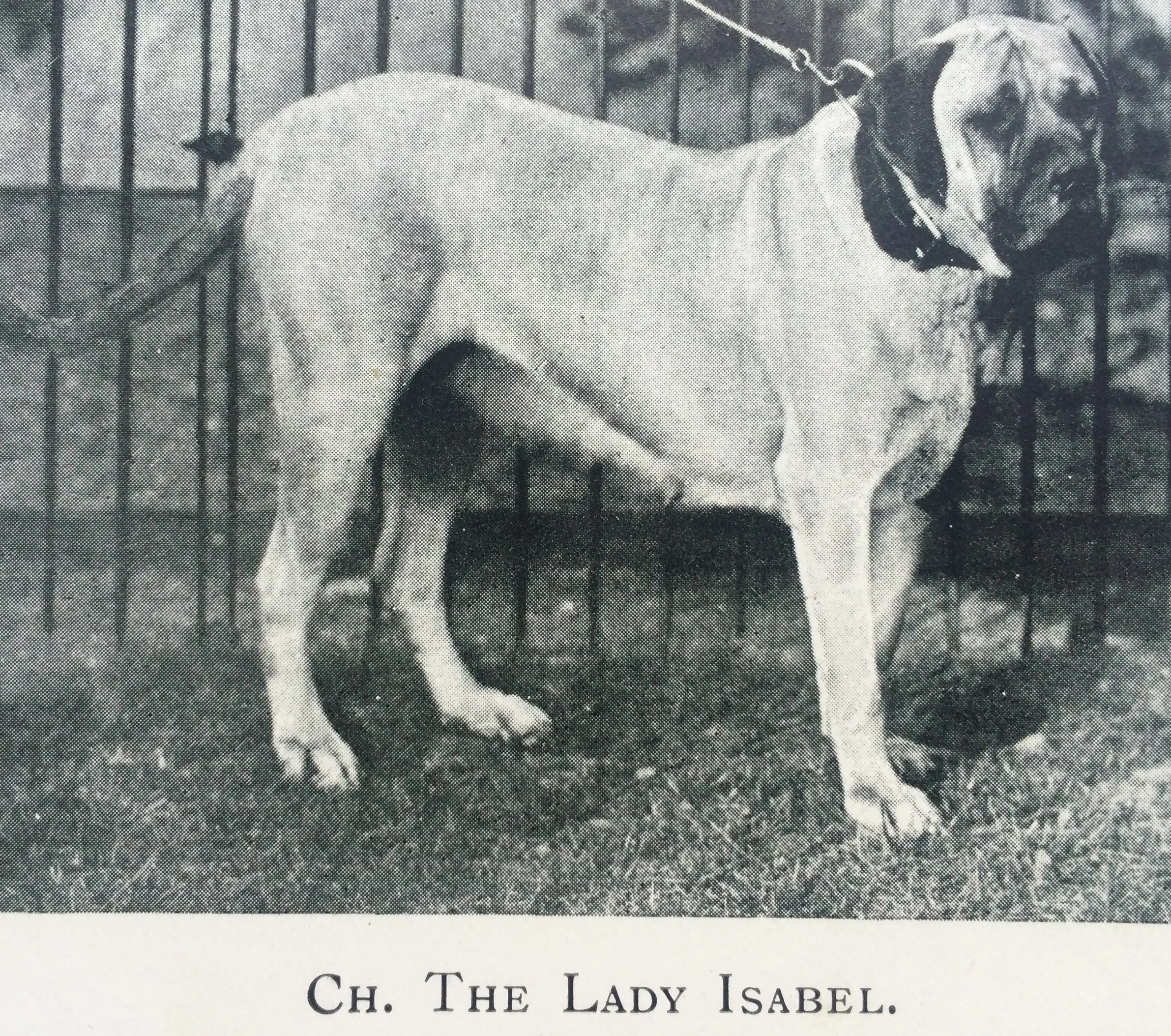 Ch The Lady Isabel.jpg