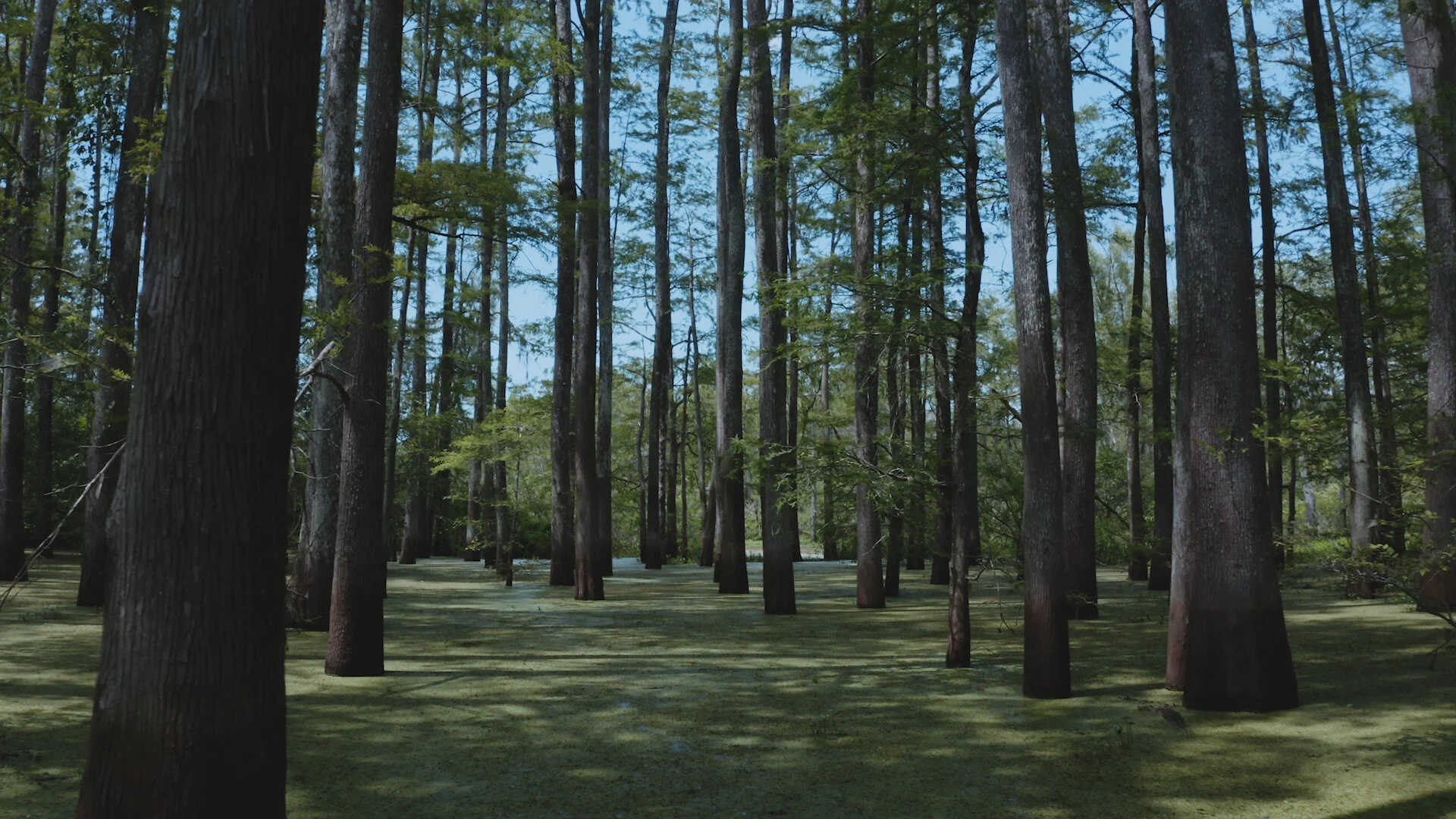 Homepage Banner Reel thumbnail.jpg