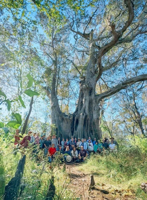 Cat Island Hike 