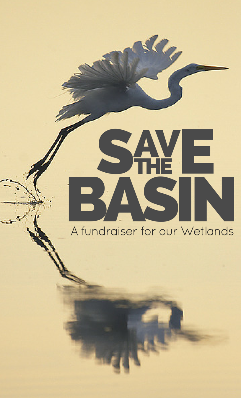 basin flyer egret (2).png