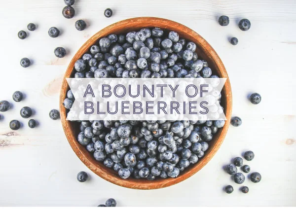 Blueberries_v2_01.jpg