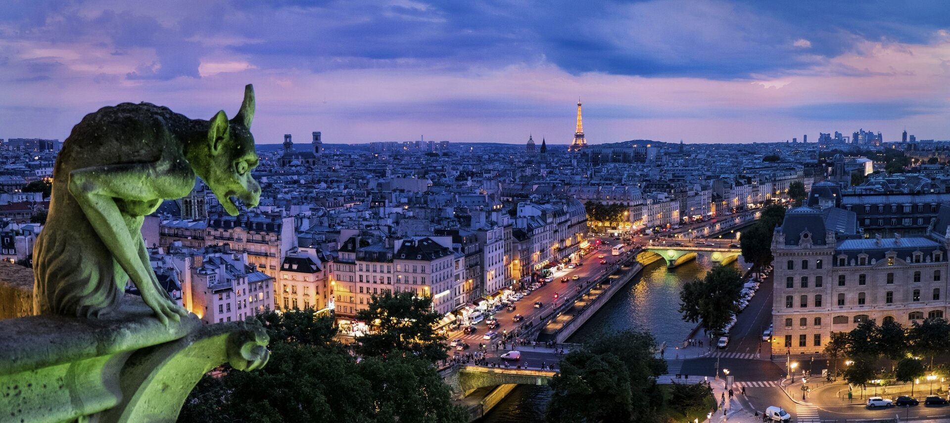 gargoyle-and-panorama-of-paris-city-152-medium.jpg