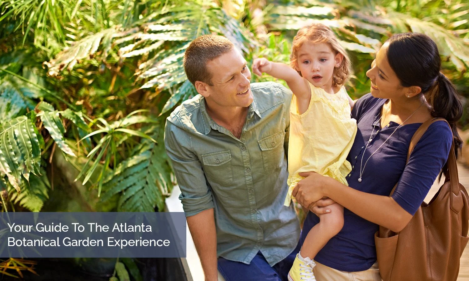 Your Guide To The Atlanta Botanical Garden Experience