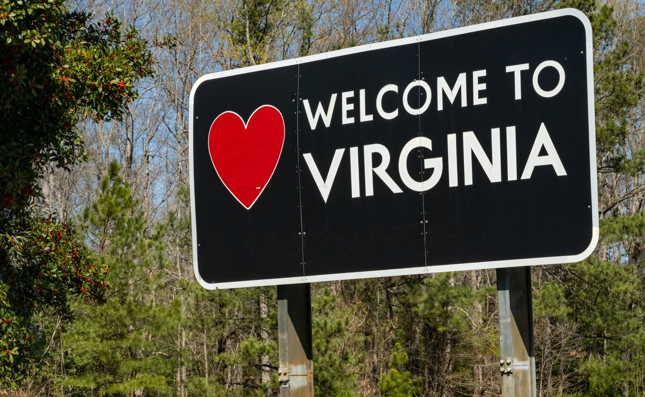 Top 15 Things to Do in Charlottesville VA for New Residents