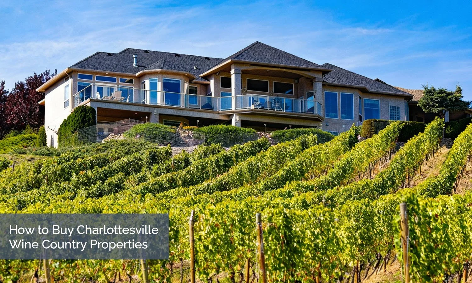 How to Buy Charlottesville Wine Country Properties