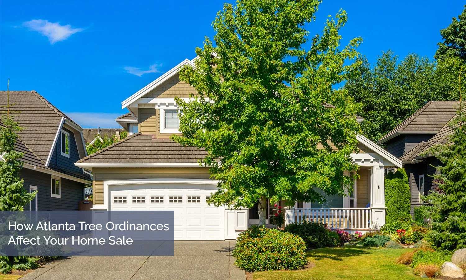 How Atlanta Tree Ordinances Affect Your Home Sale