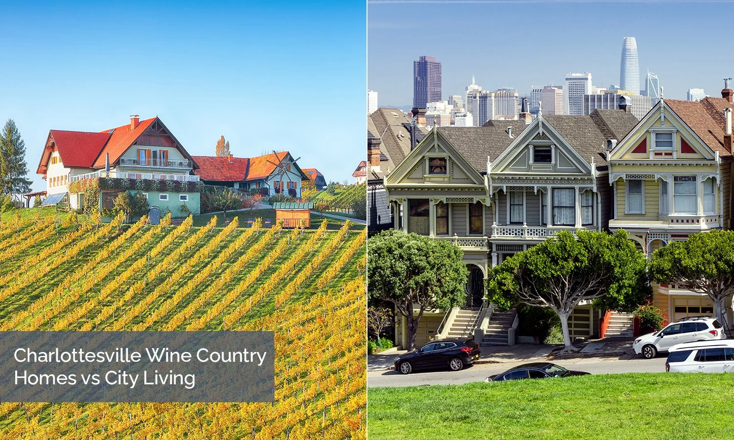 Charlottesville Wine Country Homes vs City Living