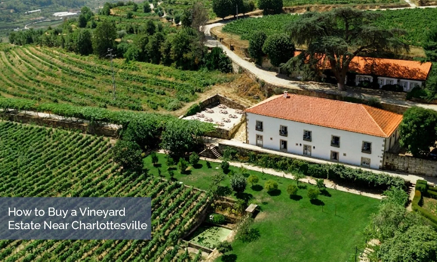 How to Buy a Vineyard Estate Near Charlottesville