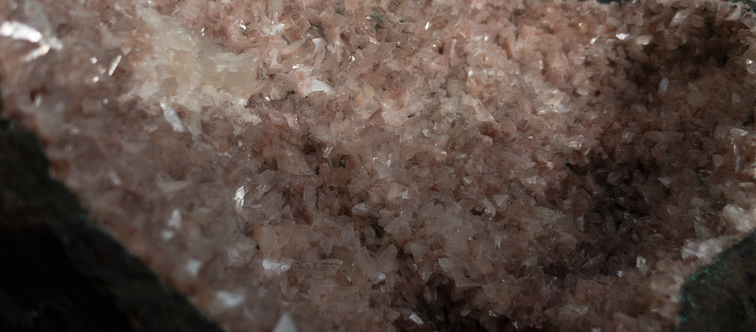 background two.png