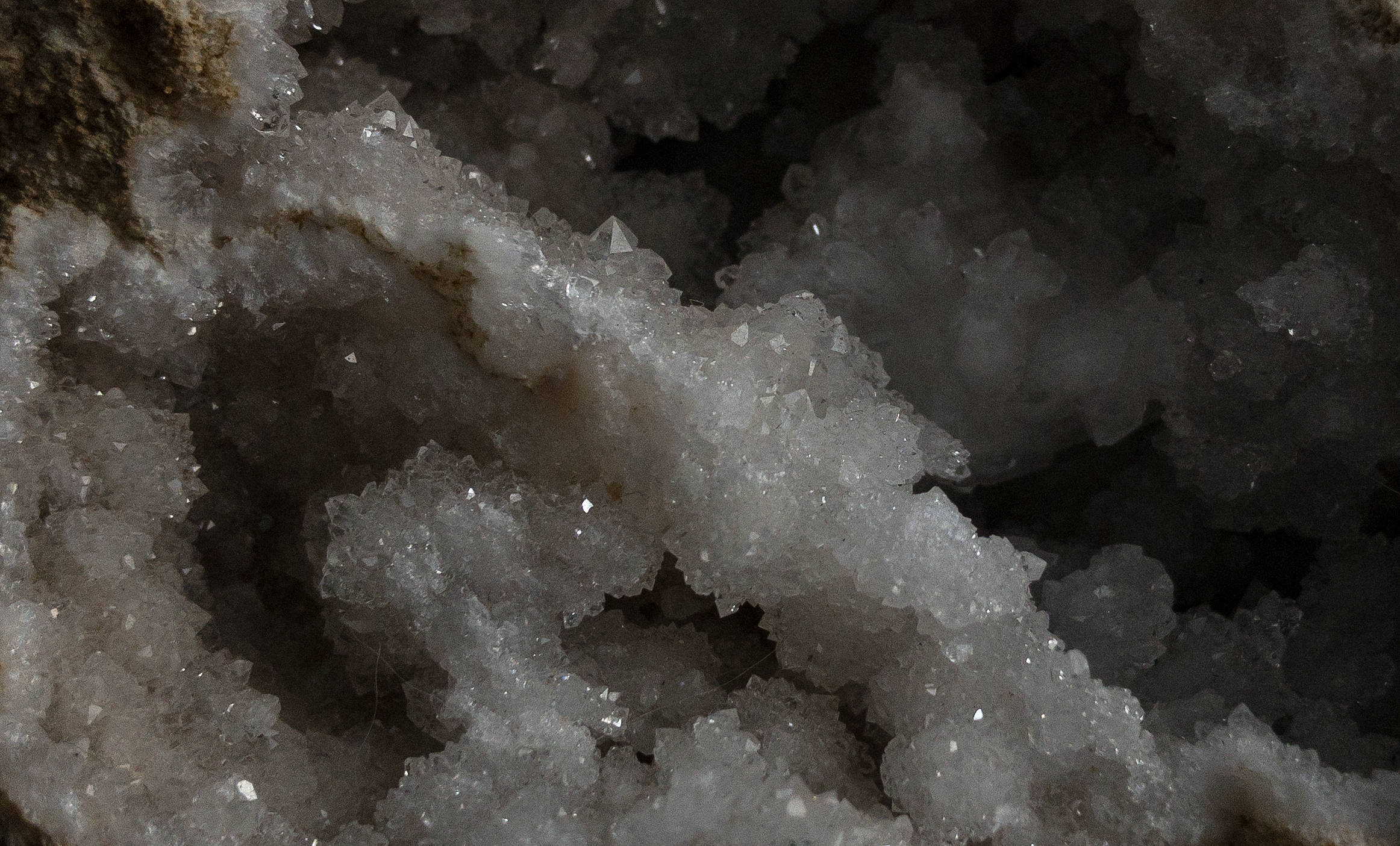background three.png