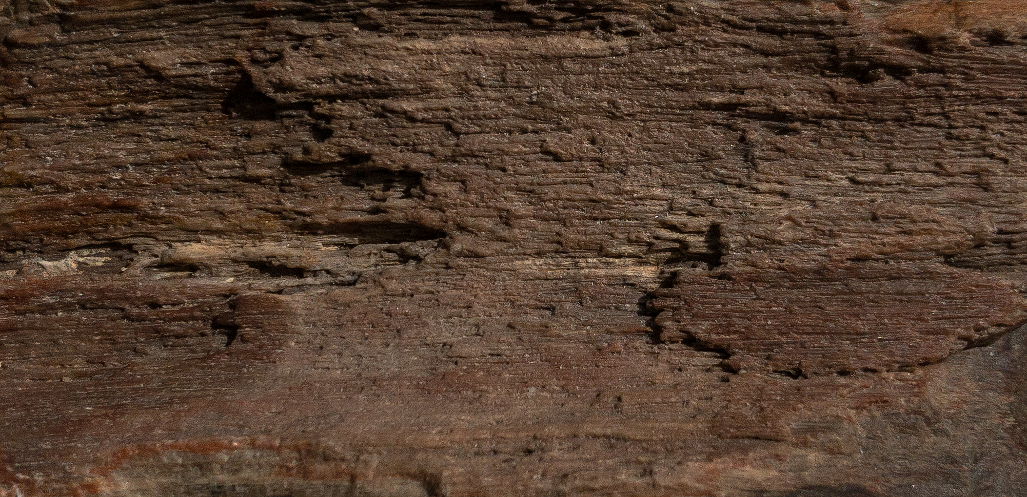 background four.png