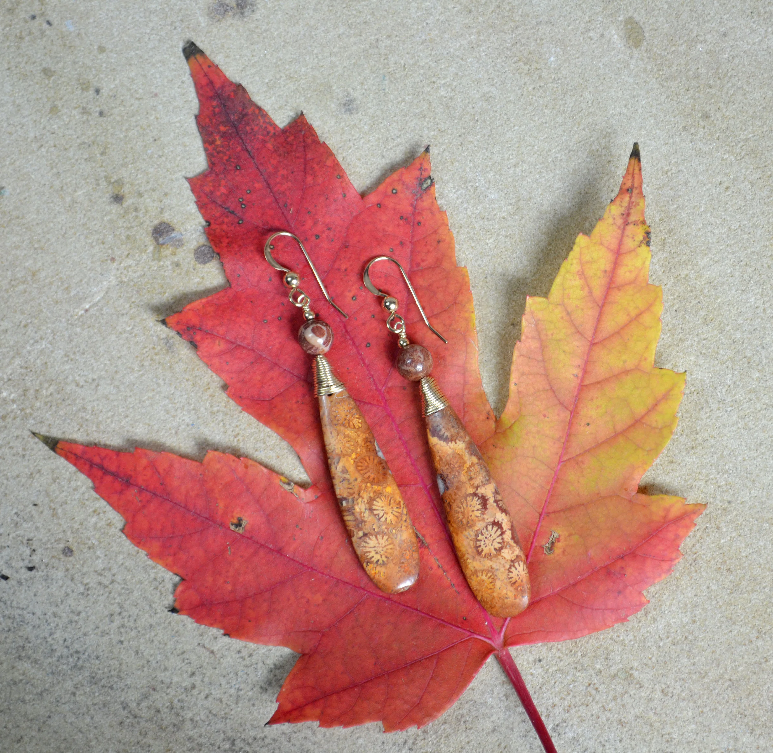 FSC #3 GOld on leaf.jpg