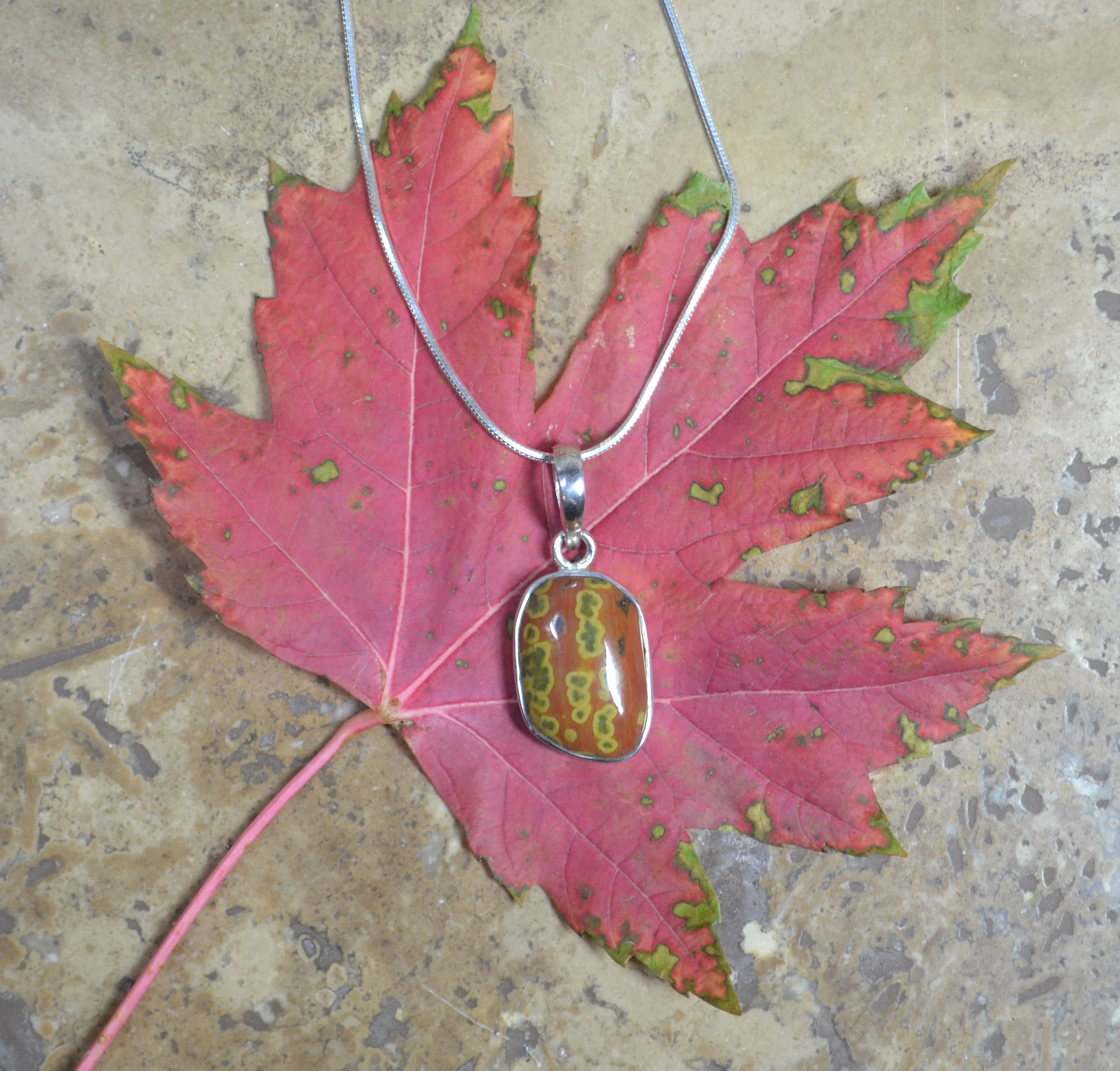 ocj #9 on snake on leaf.jpg