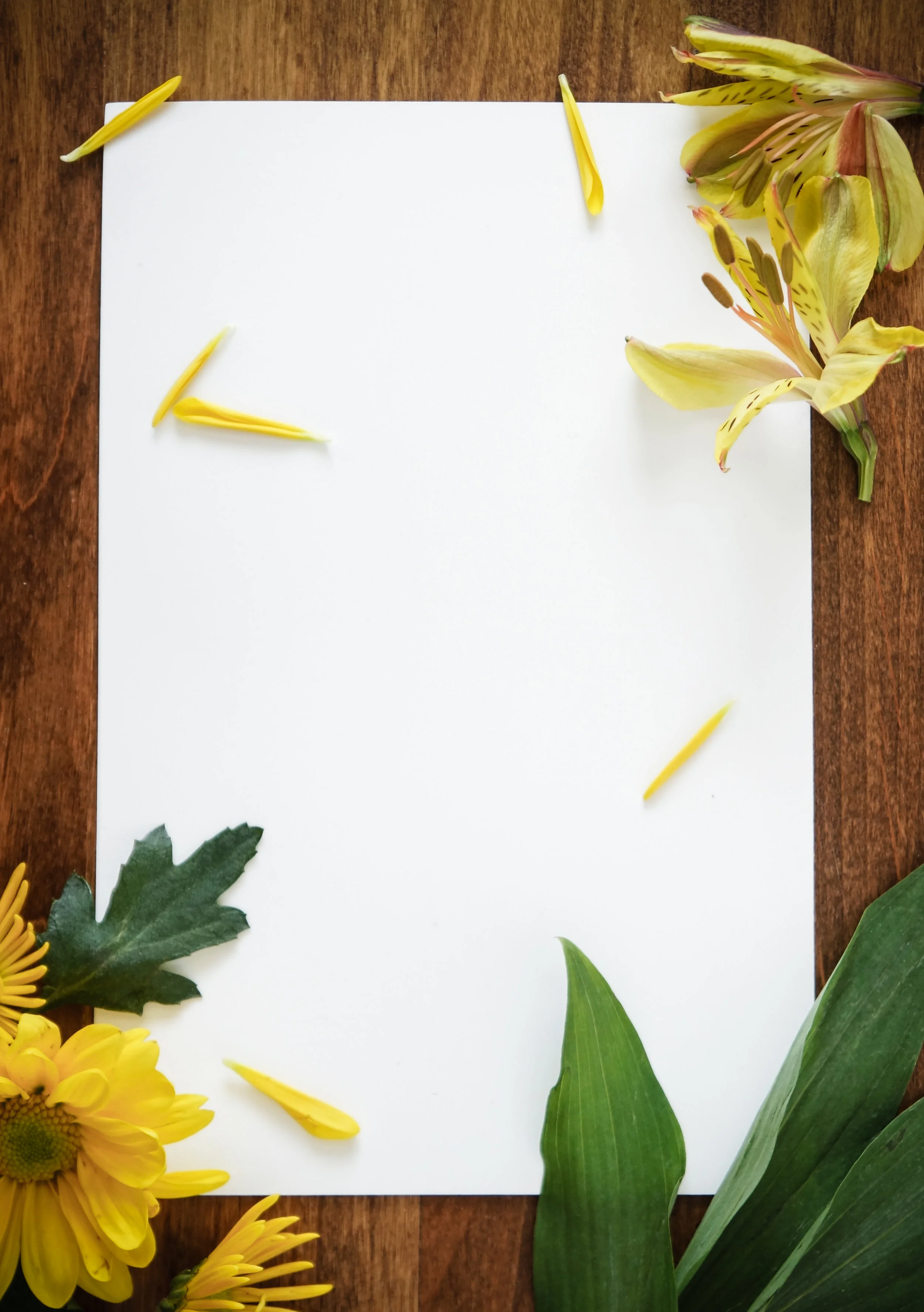 kendalkotter_abstract_2 2.jpg