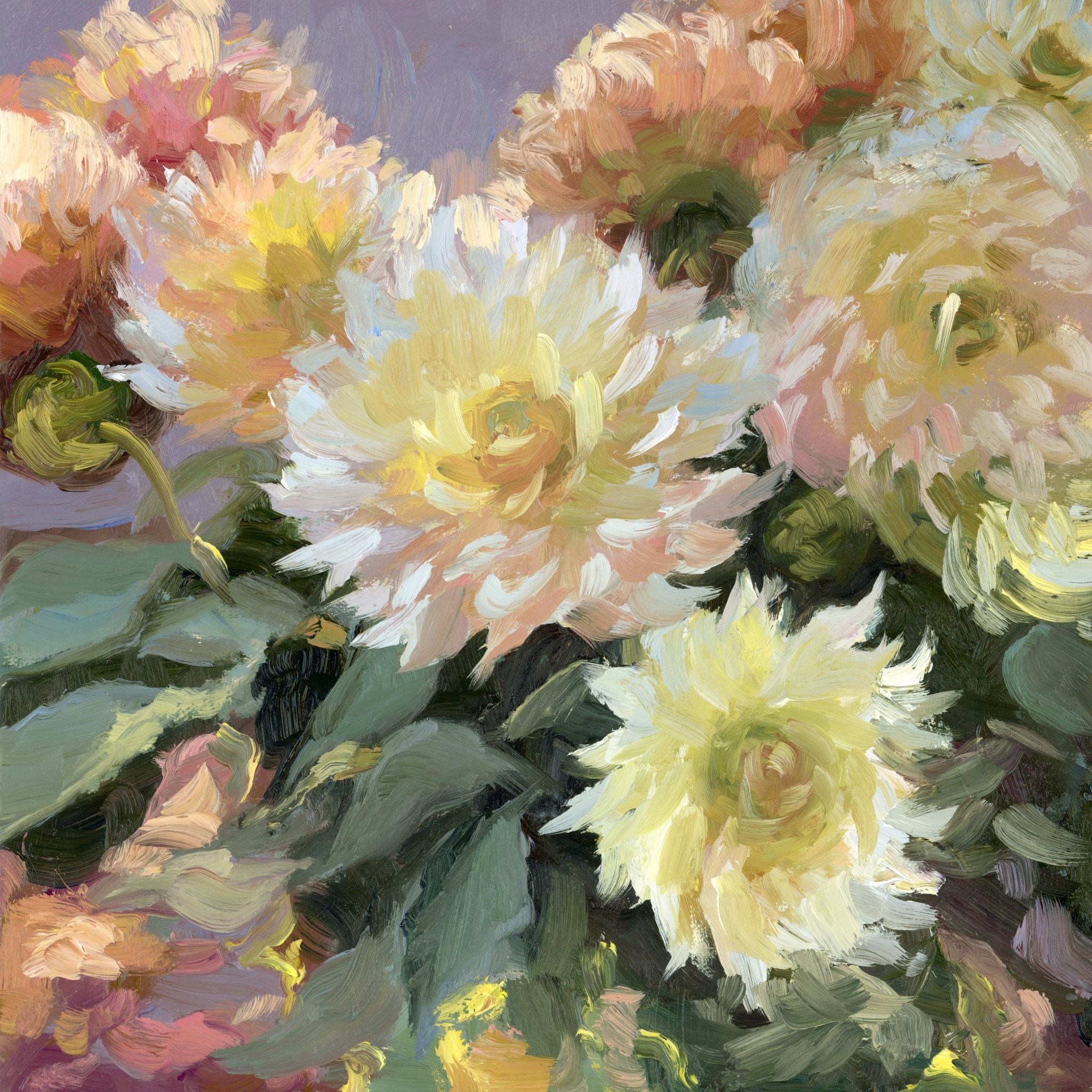 A mighty little composition of these gorgeous blooms.

My goal for this piece was to replicate the color temperature I saw in person. I remember looking at these flowers as the sun was setting and they were dancing in the sunlight. ✨ Of course, they 
