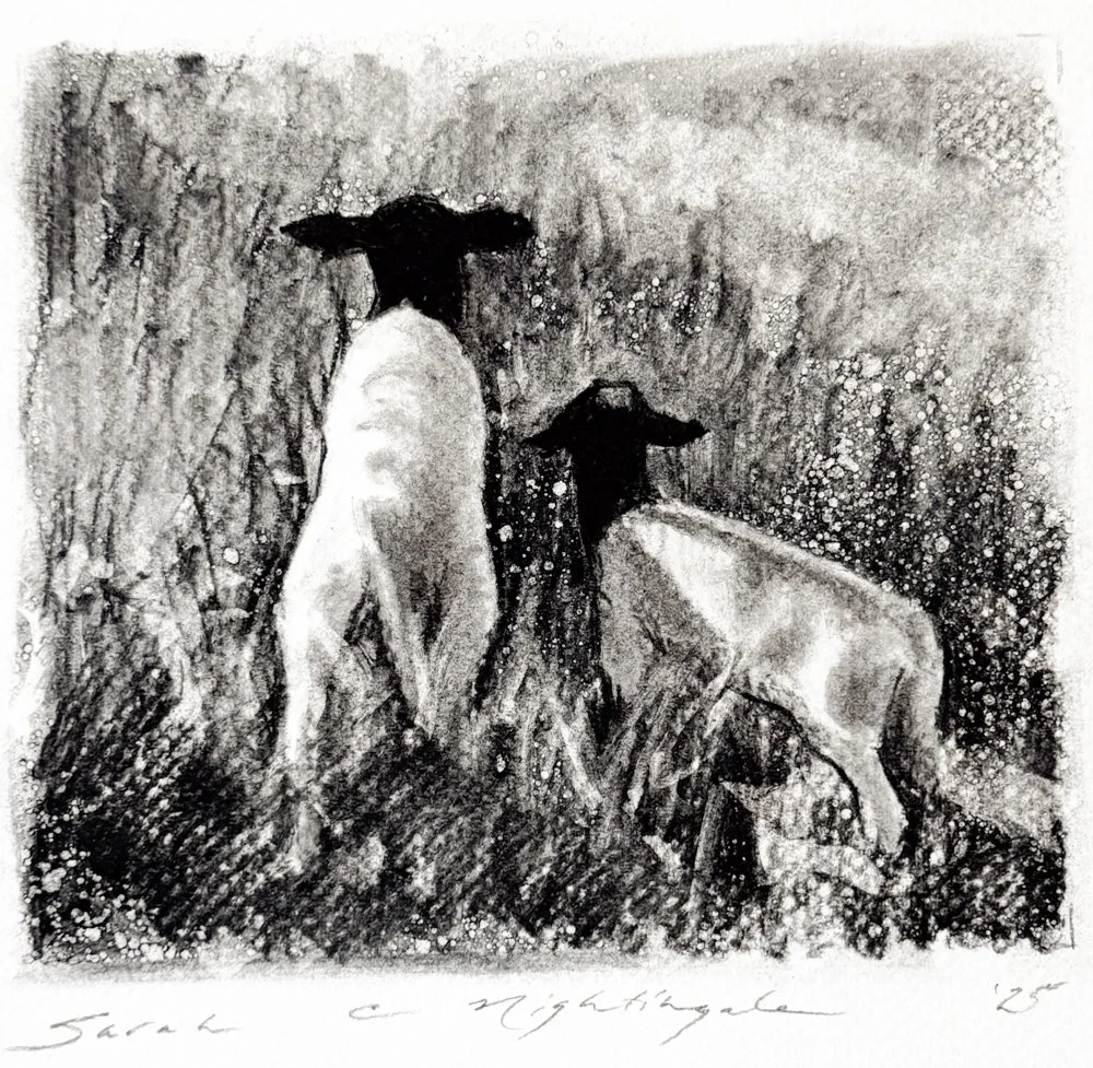 Christmas Art - Web-29.jpg