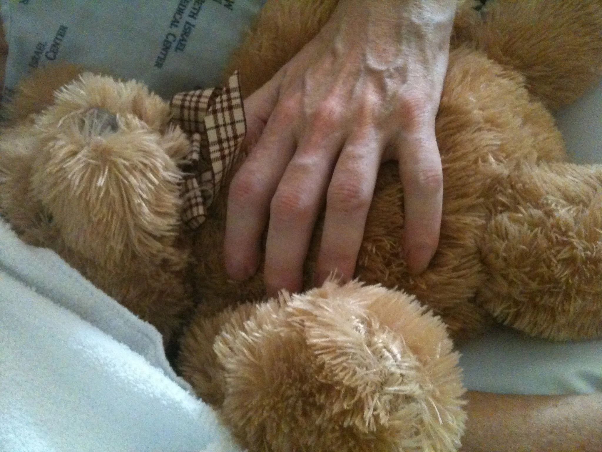 Donna Hospice Hand Teddy.jpg
