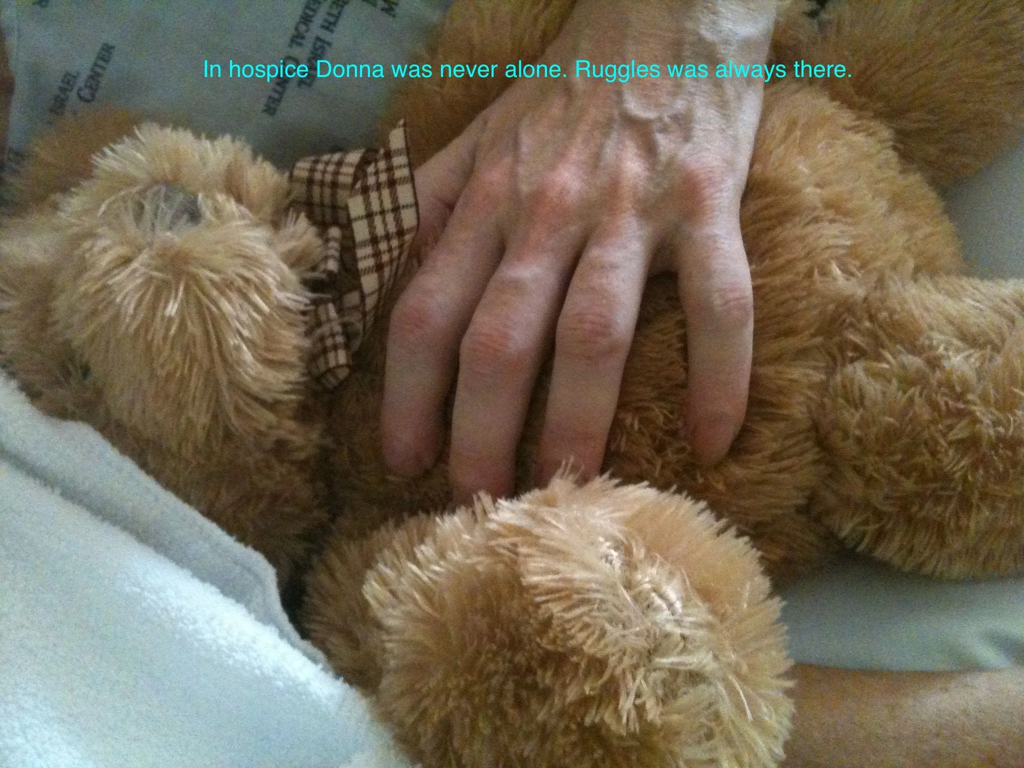 Donna Hospice Hand Teddy – Version 2.jpg