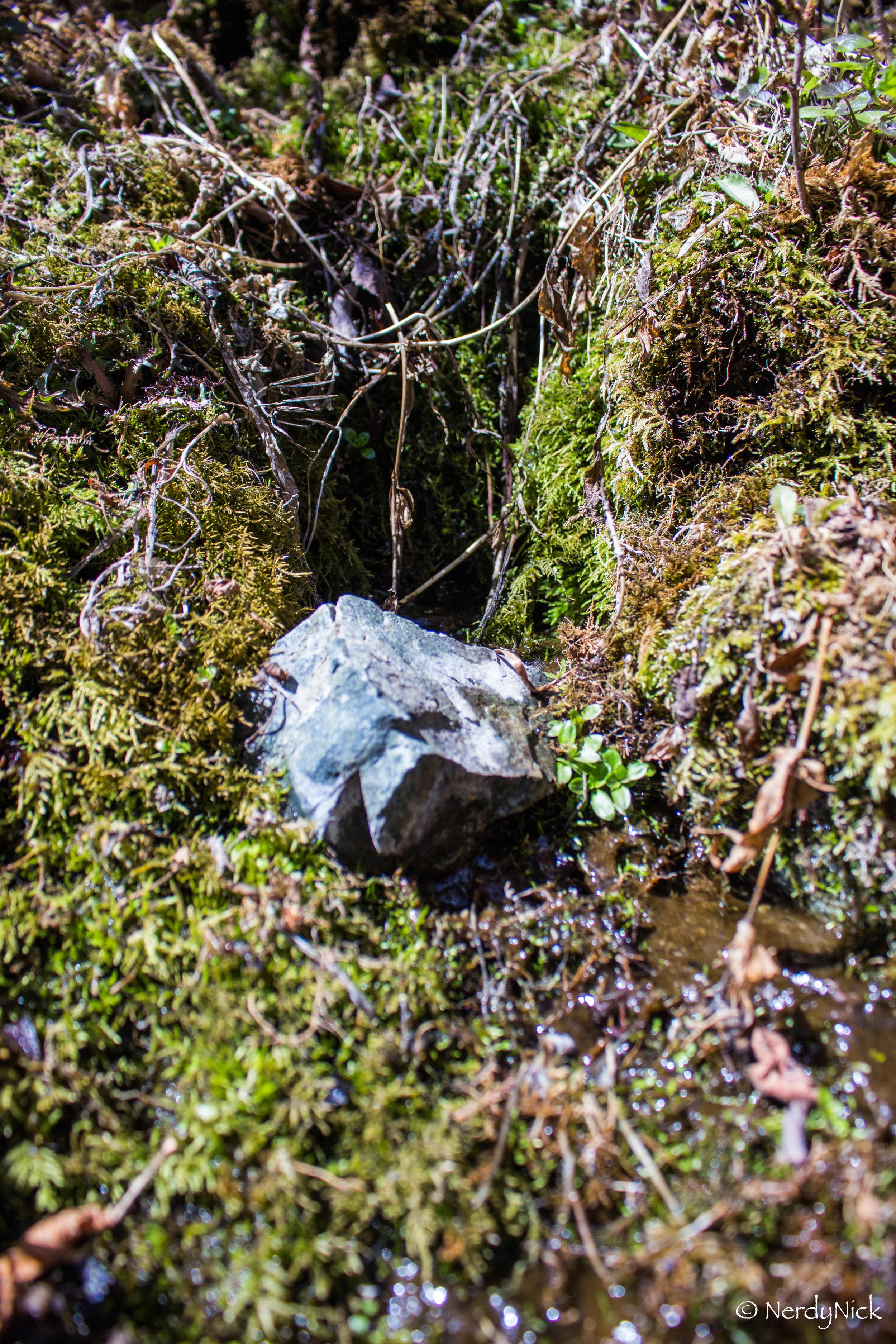 Fairy hideouts