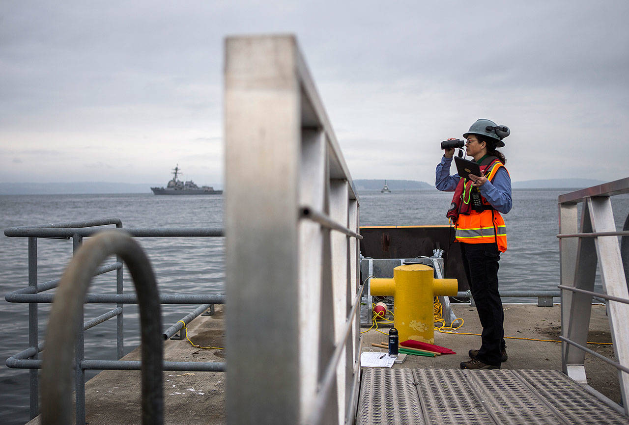Project biologist Jean Olson watches for wildlife during construction at the Port of Everett. (Olivia Vanni / The Herald)