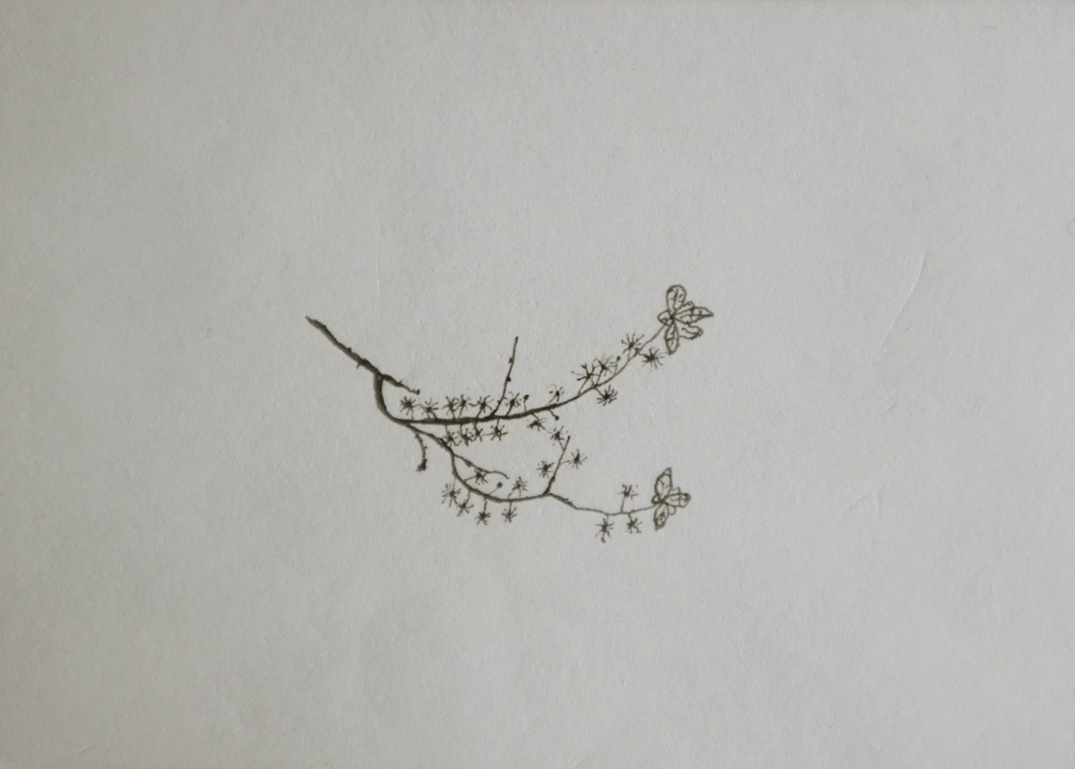 drawins_1.3.1.jpg