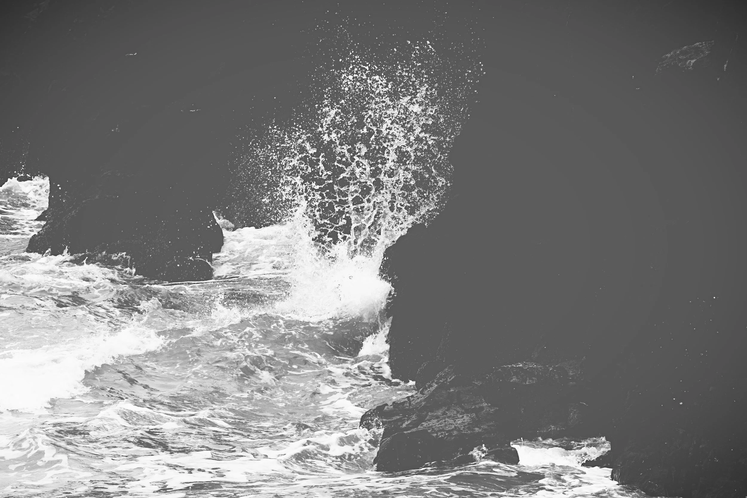 aviary-image-1529085702658.jpeg