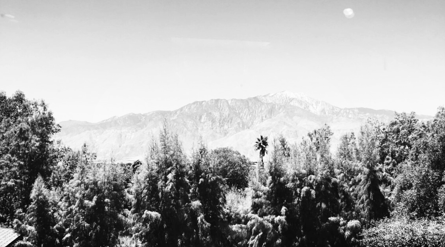 aviary-image-1529441660005.jpeg