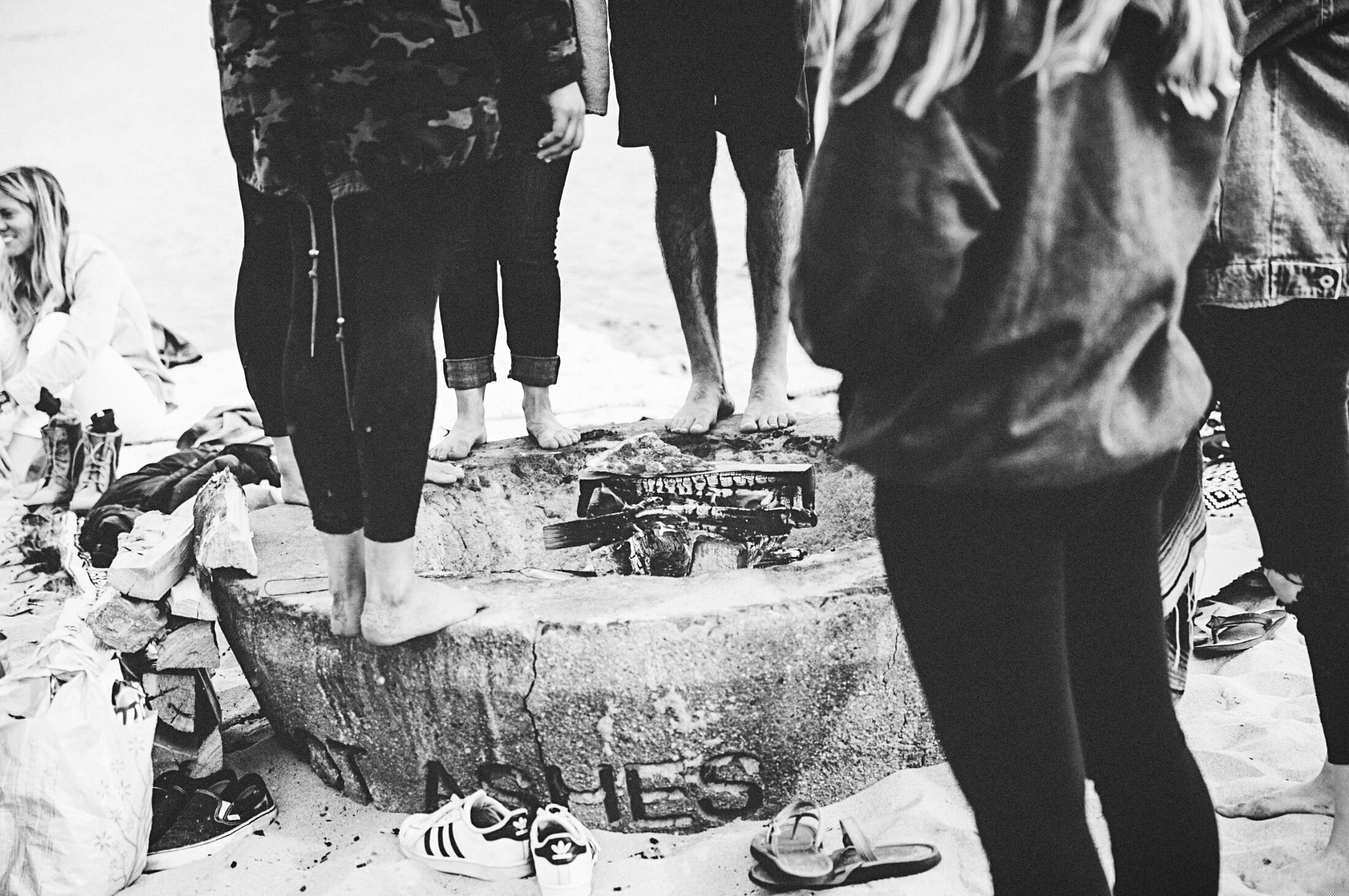 aviary-image-1529463417568.jpeg