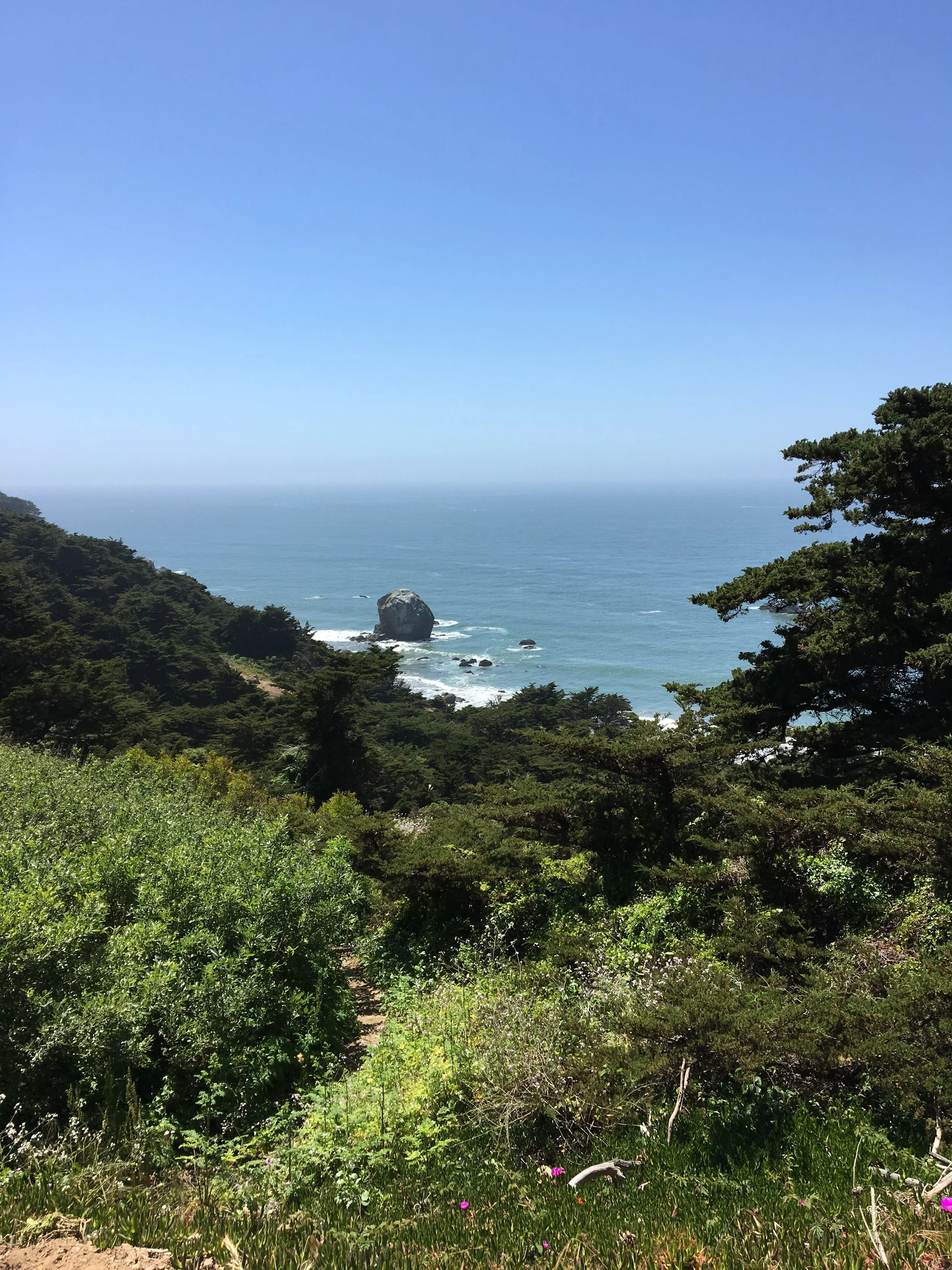 14 STEPS TO HEAL DEPRESSION