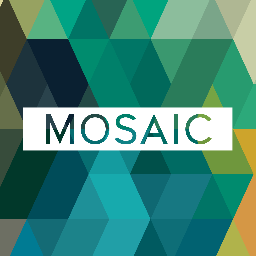 Mosaic, Partner, Client, MacLean Bros. Drywall