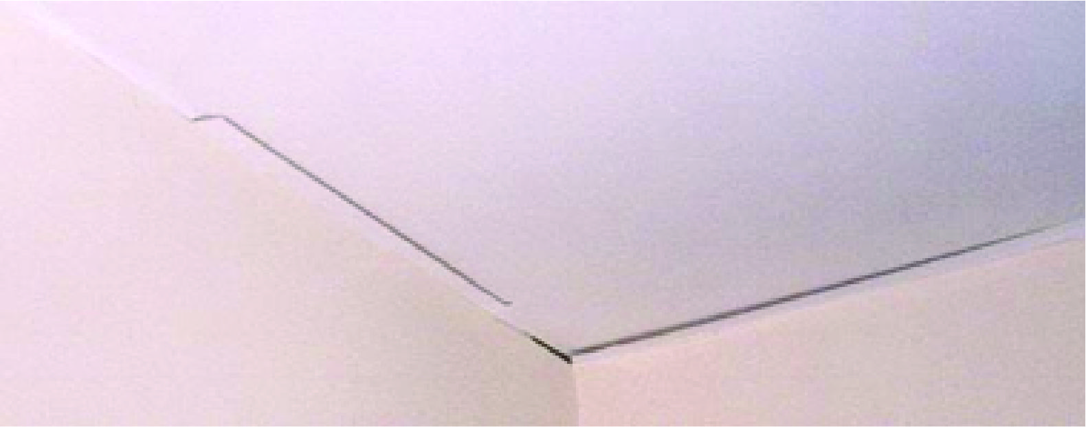 roof truss eg.jpg