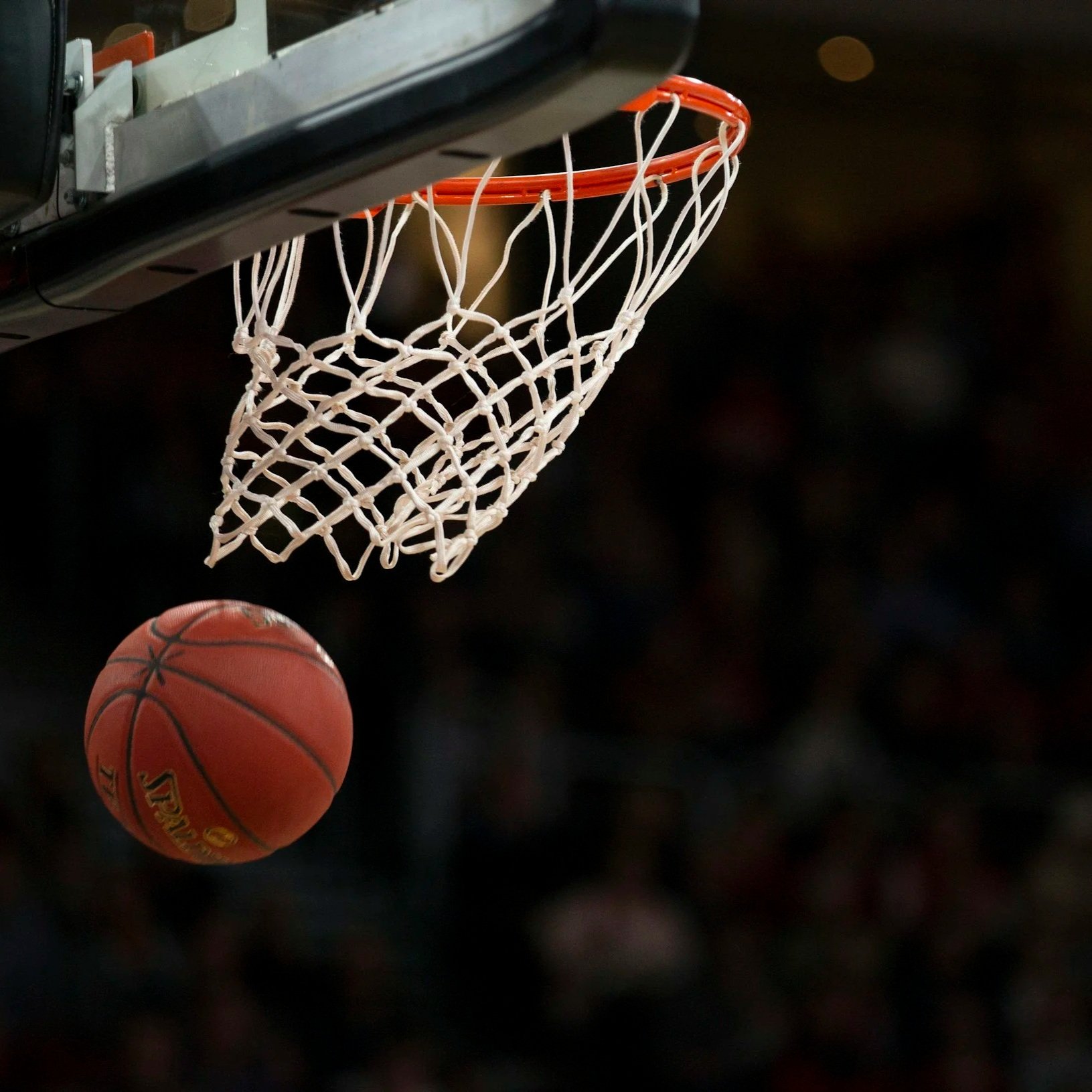 The Marketing Rodman: Why I’m Happy Being the Glue, Not the Spotlight