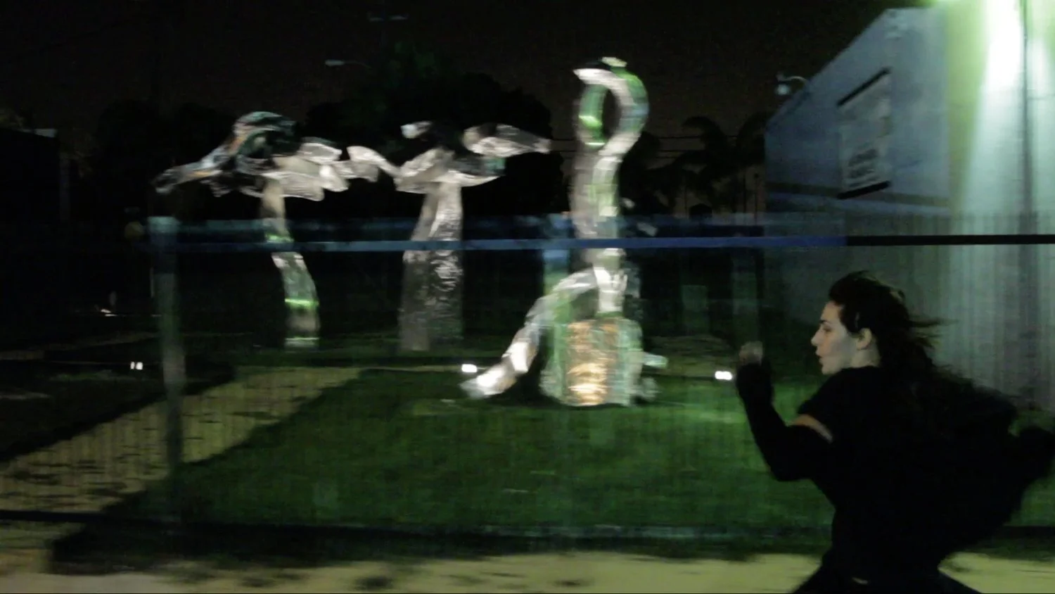  Jillian Mayer,  Scenic Jogging  (2010) 