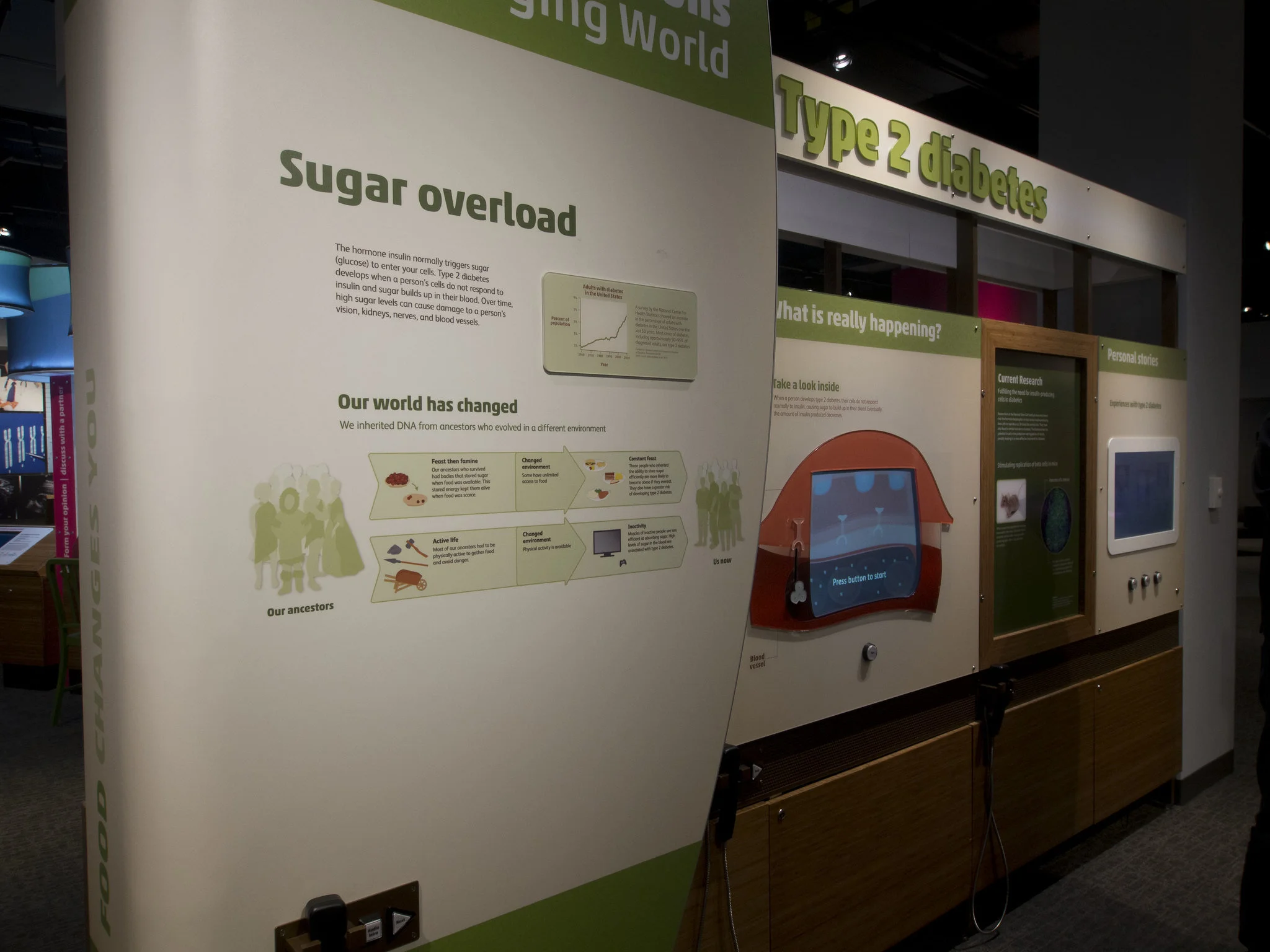 Hall of Human Life Health Condition Animations