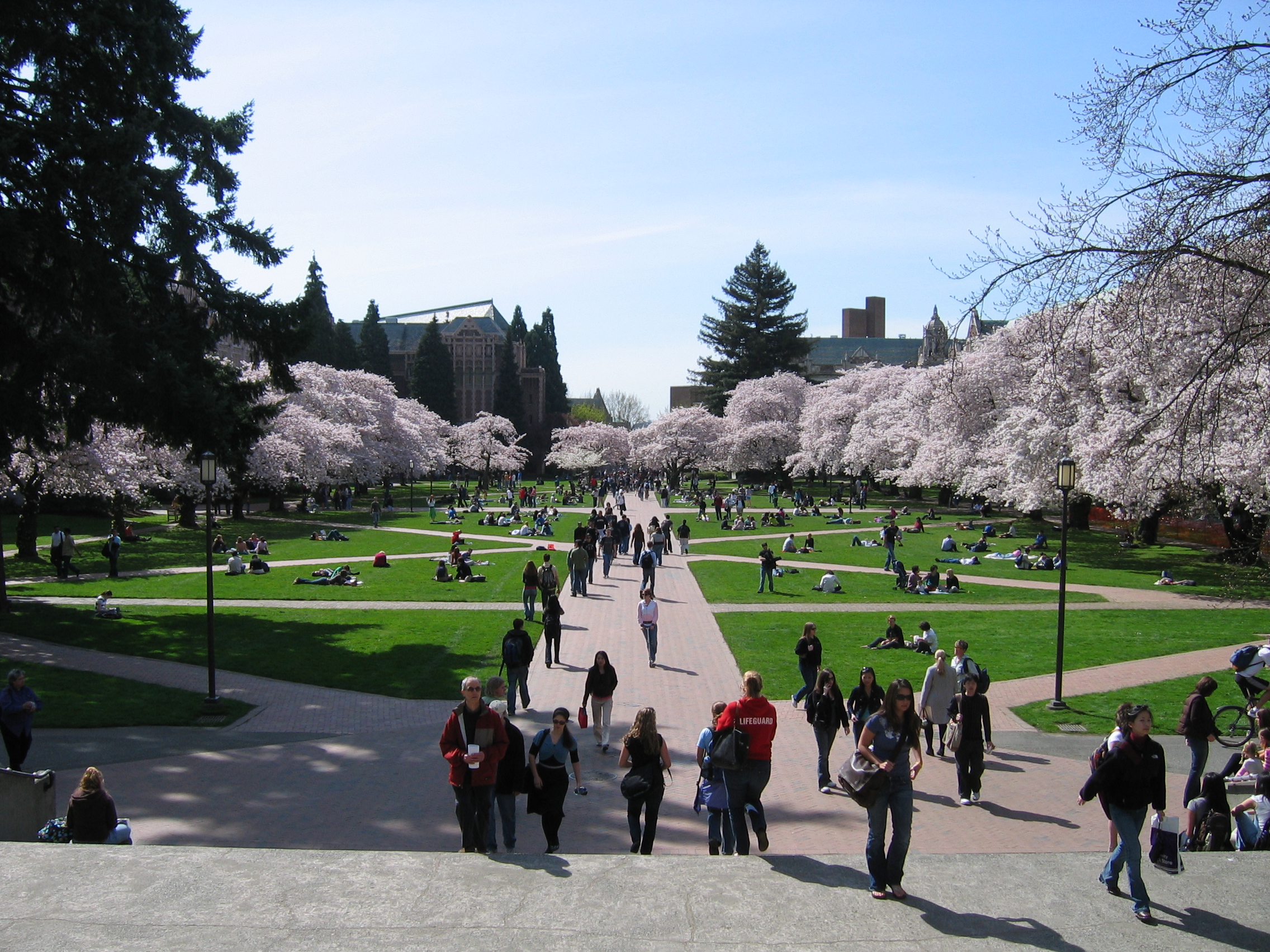 Washington state legislatures approved I-1000, which would re-introduce affirmative action to public universities and government contract awards. Several groups, however, are challenging the legislative initiative.