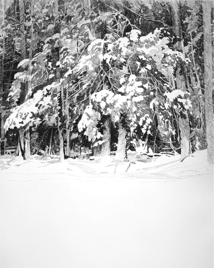 Winter Treeline