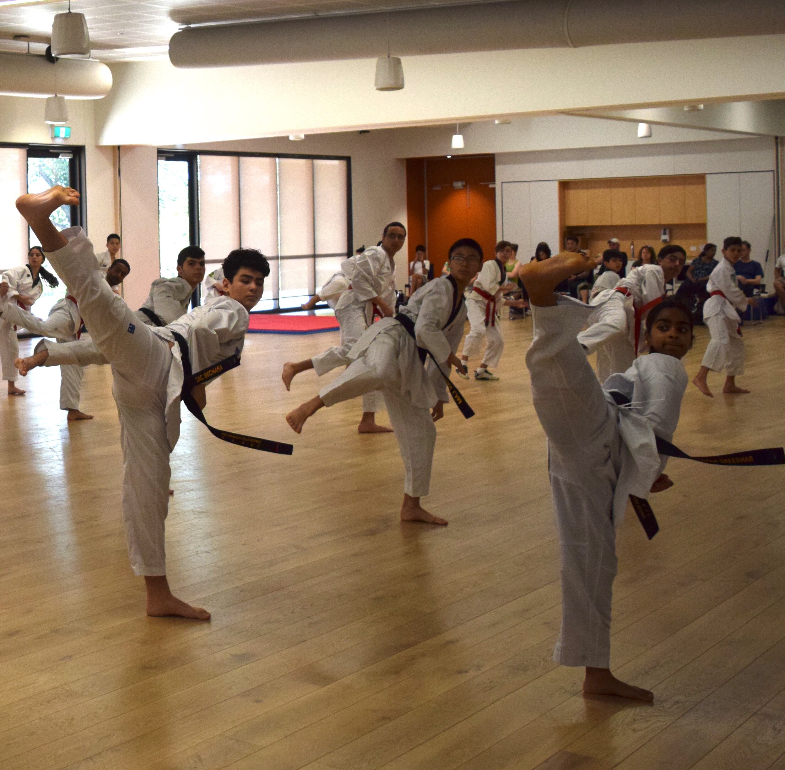 Black Belt Syllabus — Red Dragon Taekwondo