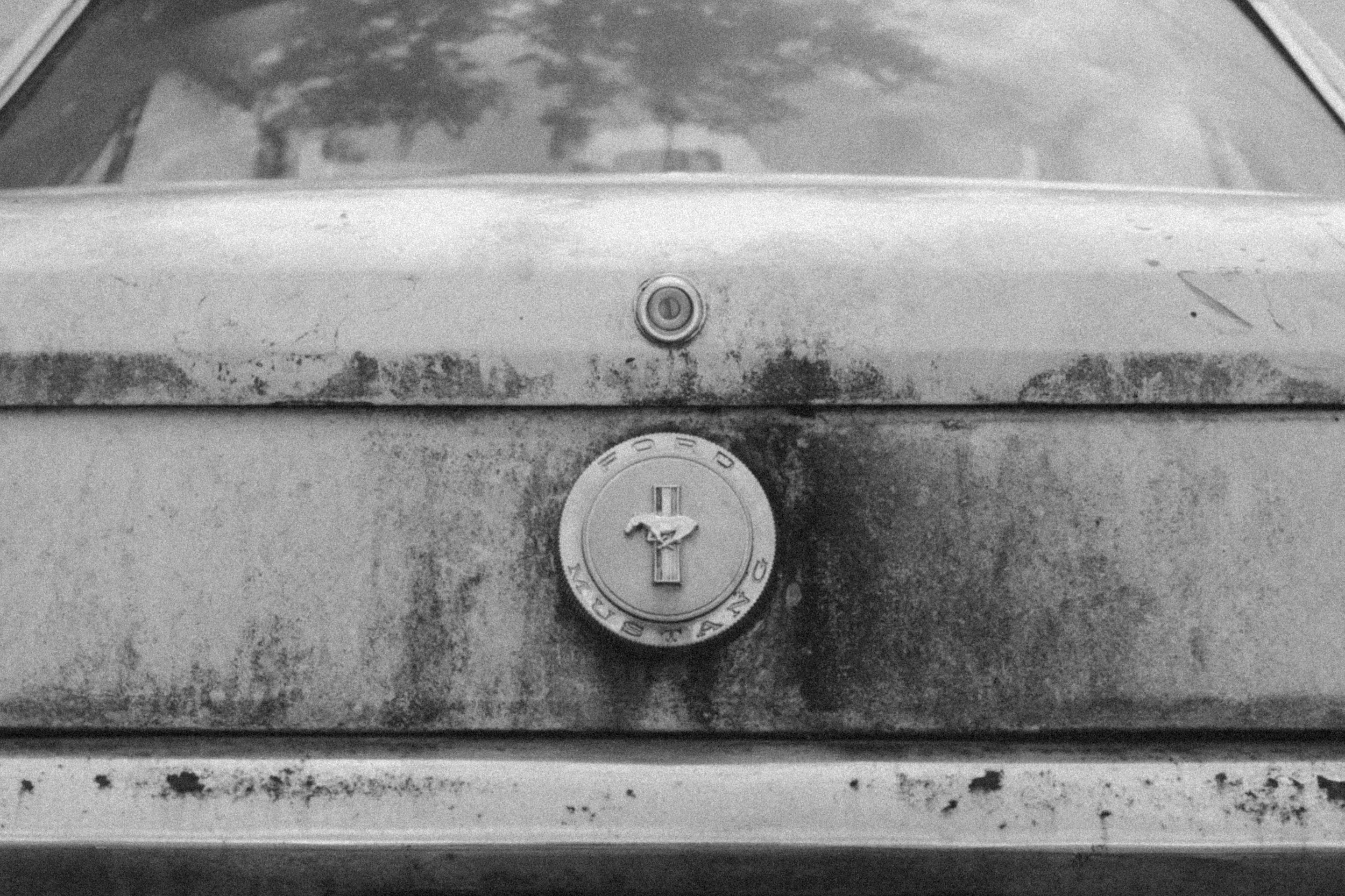 DSCF0071.JPG