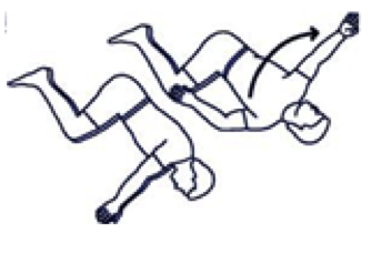 Thoracic-Spine.png