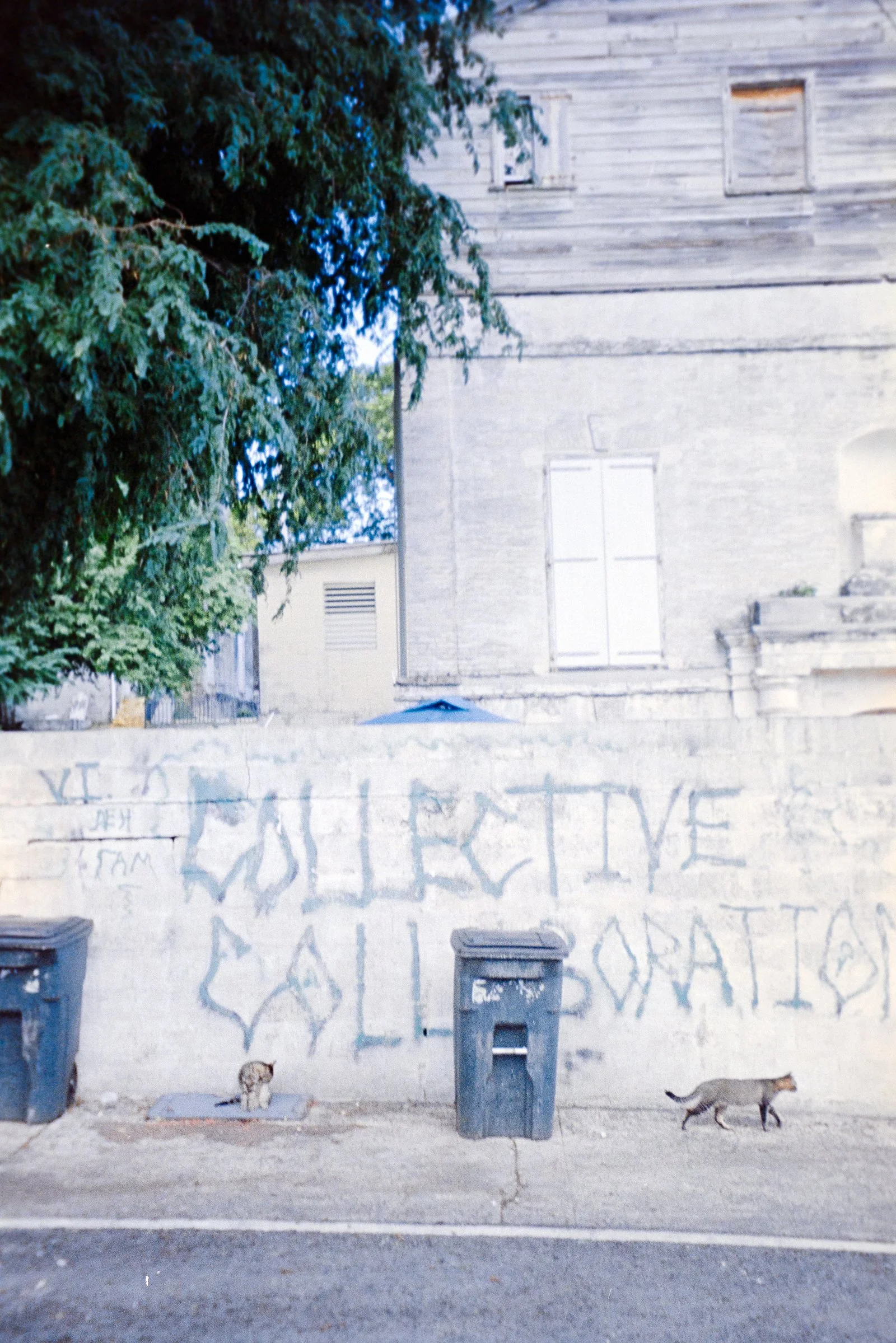collective collaboration stx 2024.jpg
