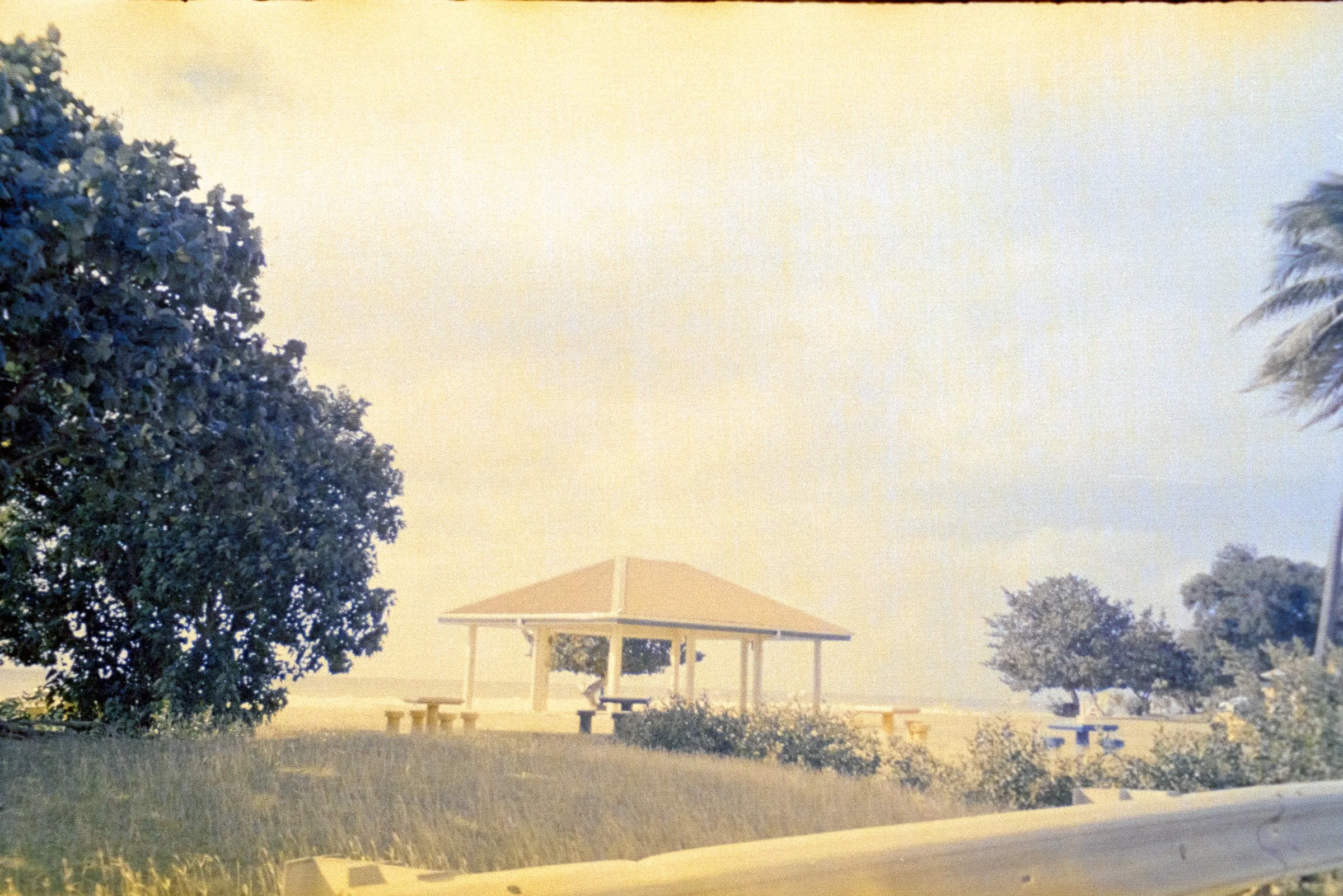 beach shanty stx 2024.jpg