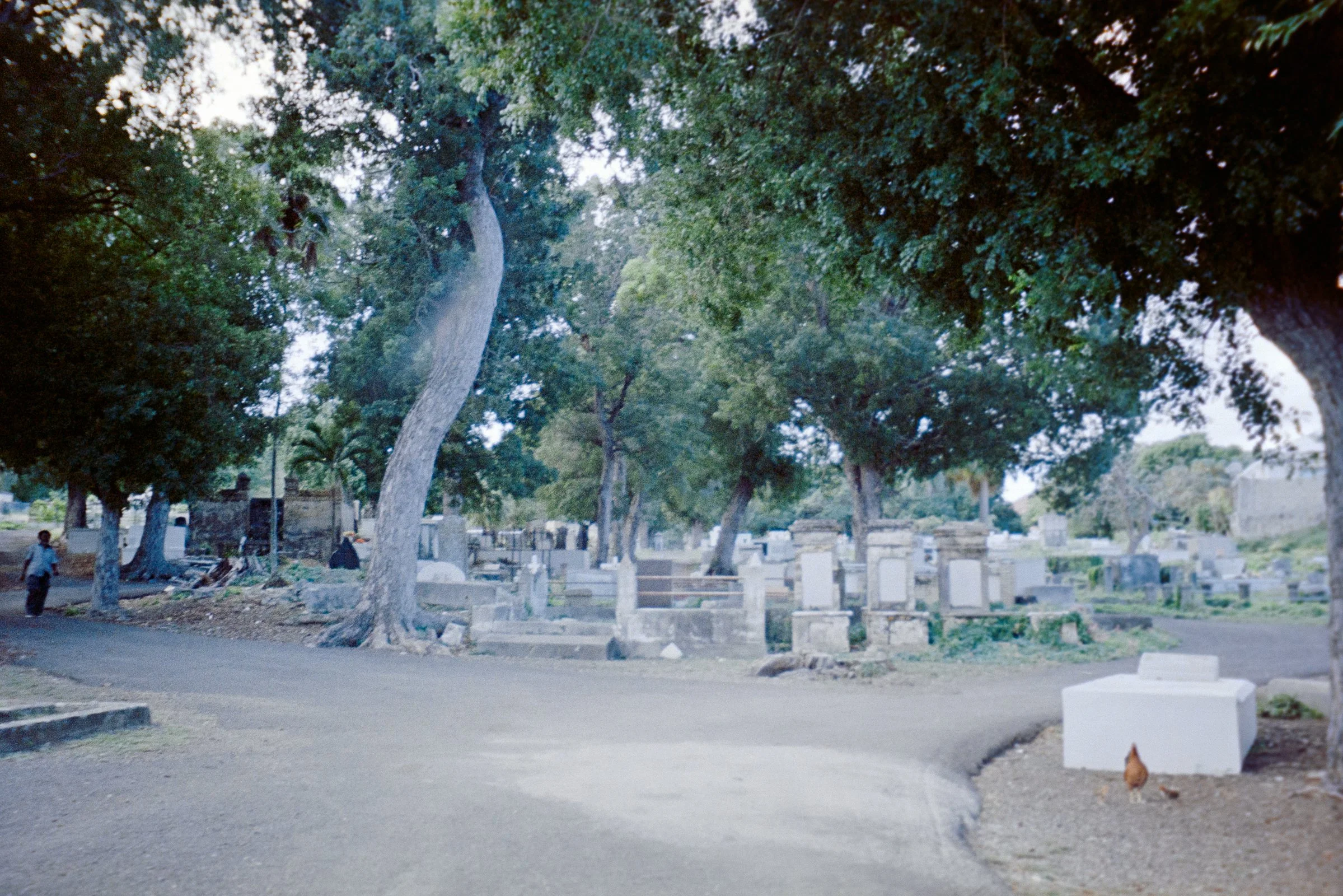 cemetary stx 2024.jpg